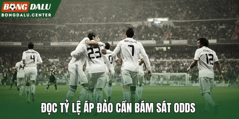 Đọc tỷ lệ áp đảo cần bám sát odds 